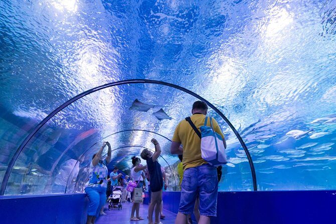 Antalya Aquarium Tour Platinium Tour - FAQ