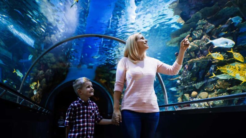 Antalya: Aquarium, Wax Museum, Snow World & Wild Park Ticket - What to Expect: A Deep Dive into Each Part of the Tour