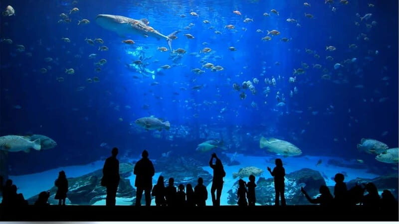 Antalya: Aquarium, Wax Museum, Snow World & Wild Park Ticket - FAQ