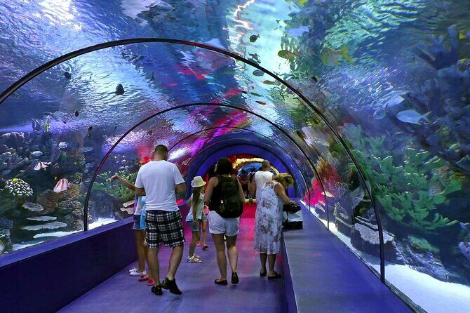 Antalya Aquarium, Wax Museum, Snow World, Wild Park, XD Cinema - An Overview of the Tour Experience