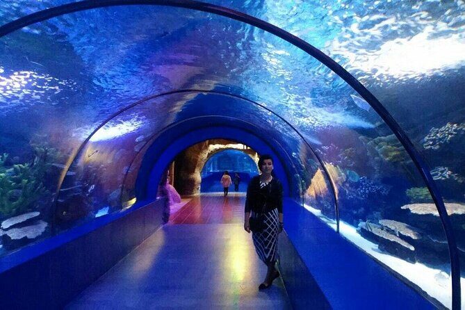 Antalya Aquarium, Wax Museum, Snow World, Wild Park, XD Cinema - Additional Attractions: Wild Park and 4D Sea Adventure