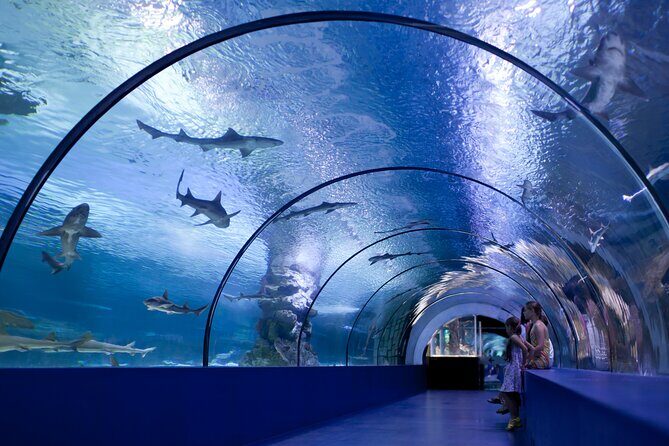 Antalya Aquarium, Wax Museum, Snow World, Wild Park, XD Cinema - Real Traveler Insights