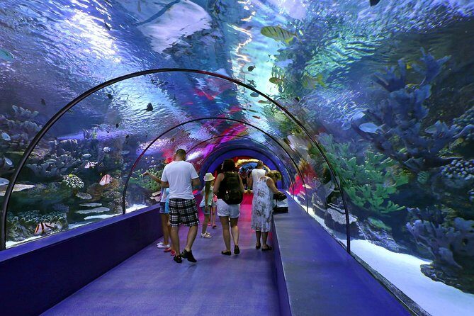 Antalya: Aquarium, Wax Museum, Snow World, Wild Park, XD Cinema - A Closer Look at the Tour Itinerary