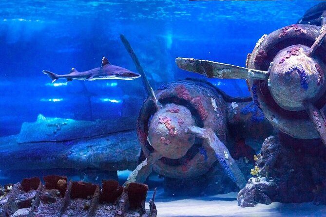 Antalya: Aquarium, Wax Museum, Snow World, Wild Park, XD Cinema - FAQ