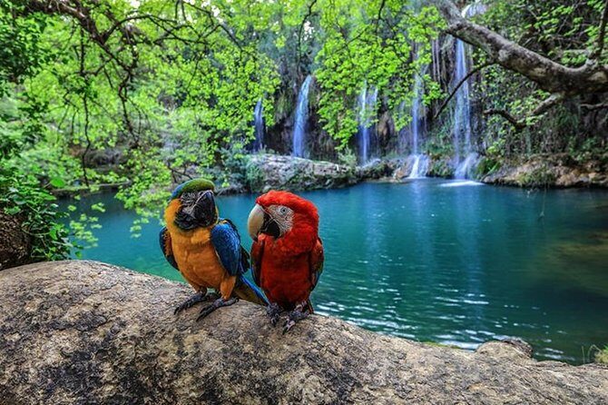 Antalya Deluxe City Tour Lunch + Cable Car from Side - Frequently Asked Questions