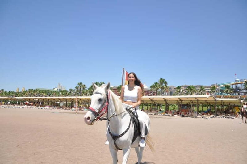 Antalya: Deniz Molal At Safarisi - Key Points