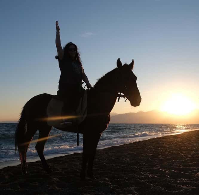 Antalya: Gallop Horseback Riding Private Tour - The Experience in Detail