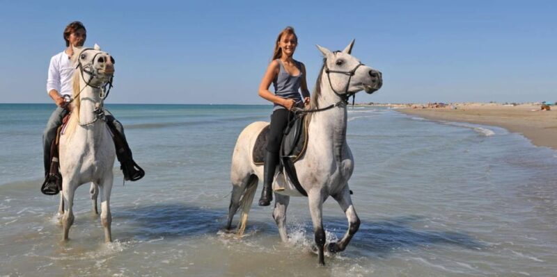 Antalya: Guided ATV and Horse Riding Safari in Lara - The Verdict: Is It Worth It?