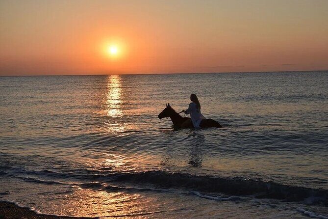 Antalya Horse Riding On Beach And Through The Forests For 2 Hours - Starting Point and Pickup
