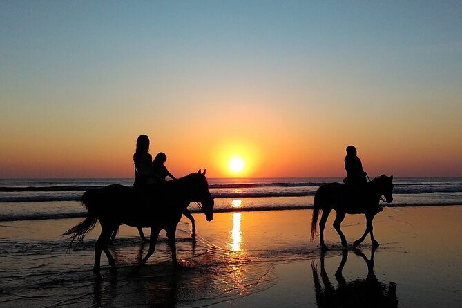 Antalya Horse Riding On Beach And Through The Forests For 2 Hours - The Practical Side: Price, Duration, and Group Size