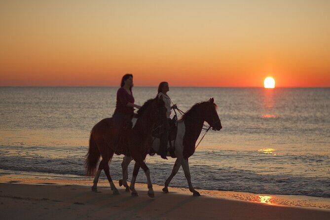 Antalya Horse Riding On Beach And Through The Forests For 2 Hours - Who Would Enjoy This Tour?