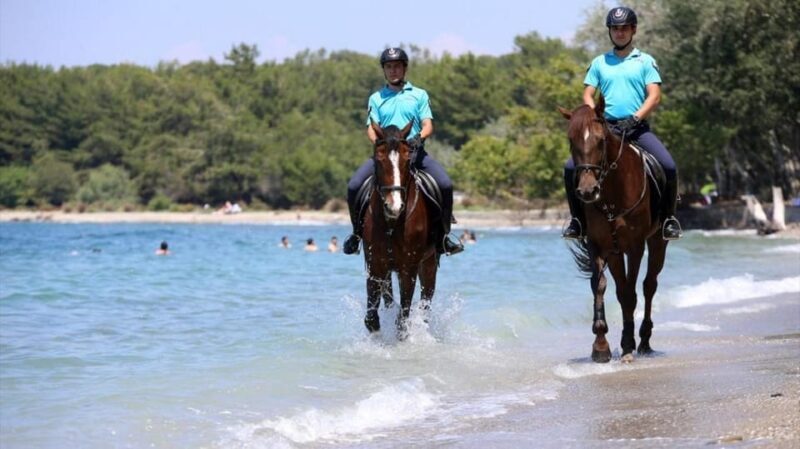 Antalya Horse Safari - What to Expect During Your Horseback Ride in Antalya