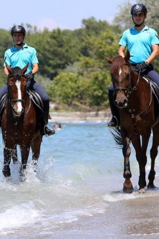 Antalya Horse Safari - Who Is This Tour Perfect For?
