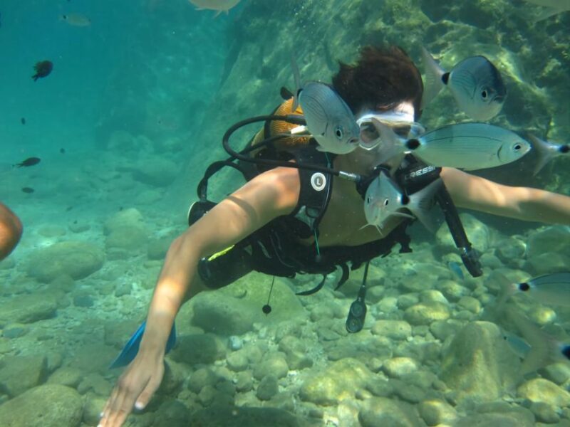 Antalya/Kemer: Scuba Diving Experience with Lunch & Pick up - Authentic Feedback from Travelers