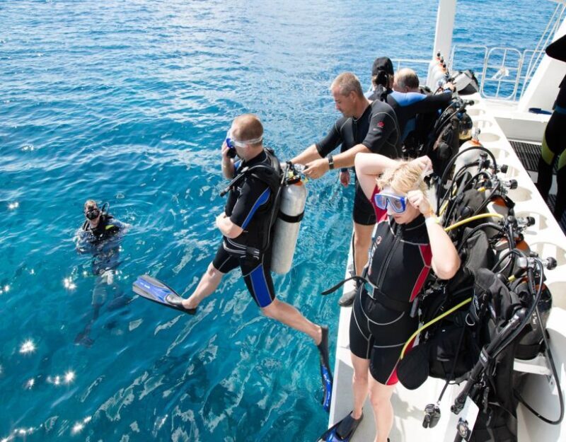 Antalya/Kemer: Scuba Diving with Pickup, Lunch, and 2 Dives - An Honest Look at the Experience