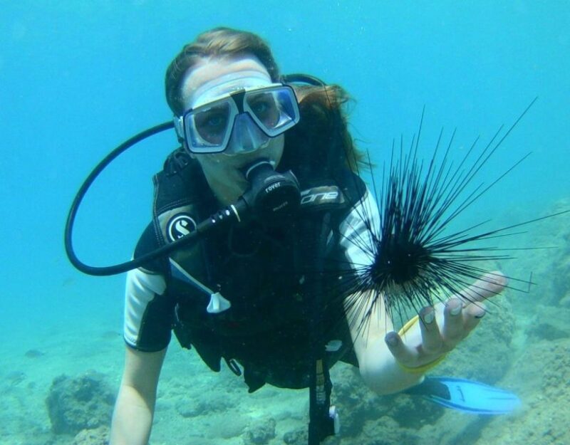 Antalya/Kemer: Scuba Diving with Pickup, Lunch, and 2 Dives - Final Thoughts