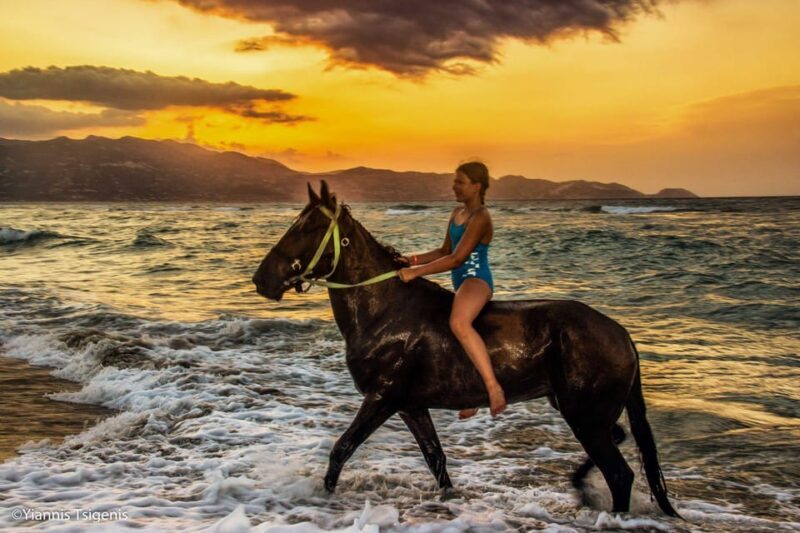 Antalya: Lara Beach & Forrest Horse Riding Safari - Key Points