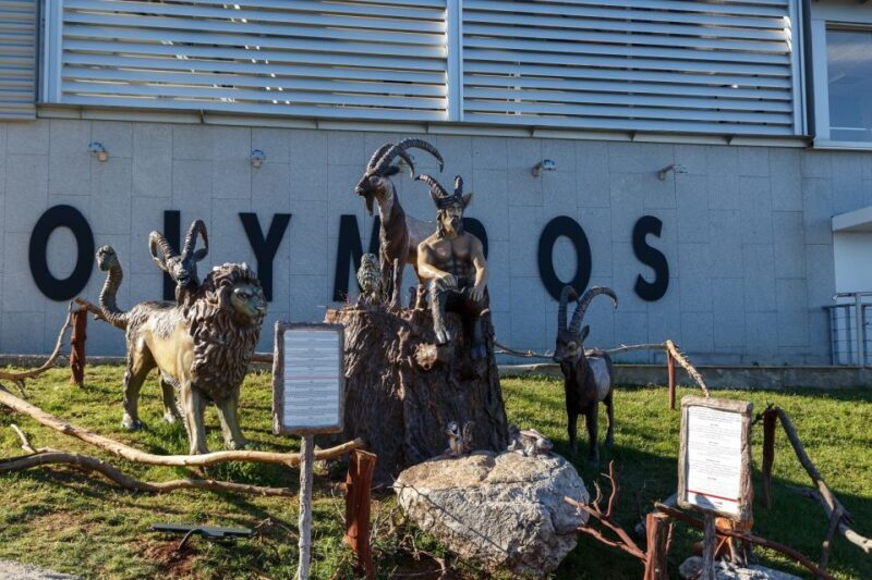 Antalya: Olympos Cable Car & Tahtali Mountains with Transfer - Authentic Traveler Insights