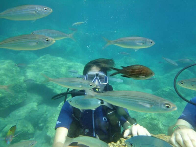 Antalya Scuba Diving Tour, With Lunch & Return Transfers - Final Thoughts