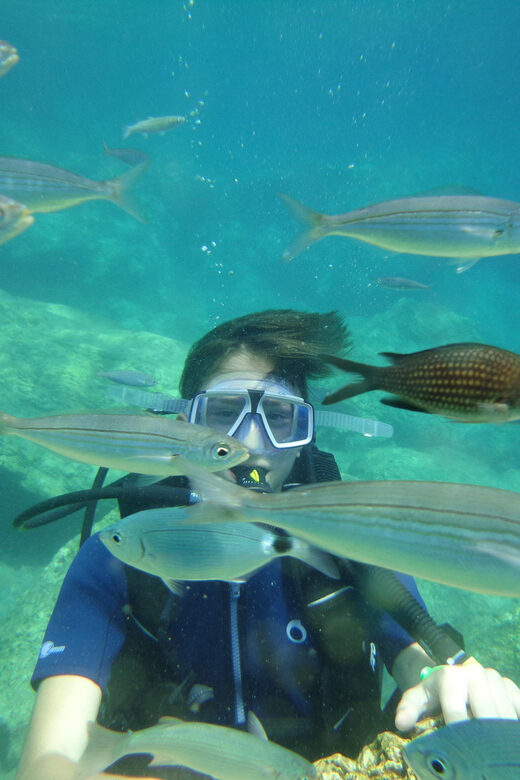 Antalya Scuba Diving Tour, With Lunch & Return Transfers - FAQ