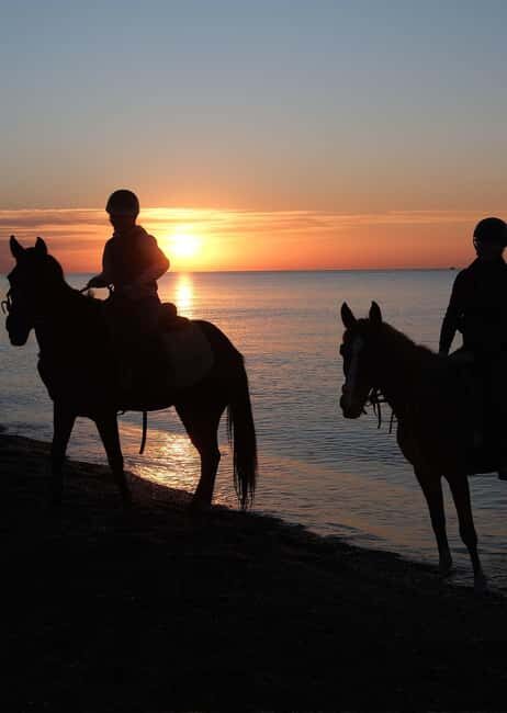 Antalya: Side Horse Riding Safari with Instructor Free Trans - FAQ: Your Questions Answered
