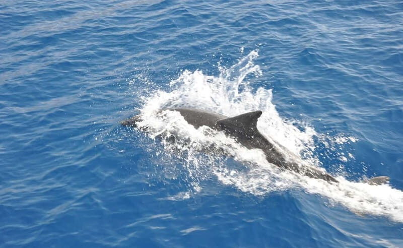 Antalya: Suluada Island Cruise with Dinner and Sunset - FAQ