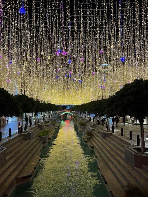 Antalya: The Land of Legends New Year Festive Show - A Closer Look at the Experience