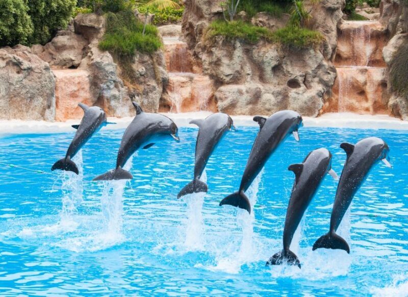 Antalya: The Land Of Legends Ticket Theme Park w/ Transfer - Best For Who?