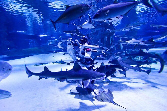 Antalya Tunnel Aquarium - Departure from Side - Who Is This Tour Best For?