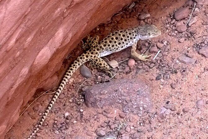 Antelope Canyon Kayak and Hike Slot Canyon - Who Will Love This Tour?