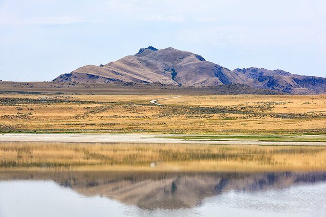 Antelope Island Wildlife Expedition Great Salt Lake Adventure - Key Points