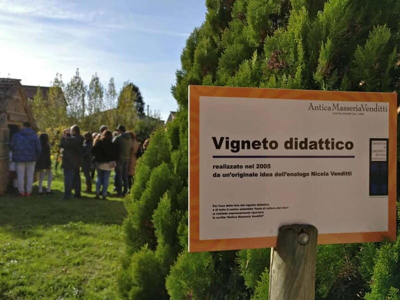 Antica Masseria Venditti: guided visit to the winery with wine tasting - A Detailed Look at the Experience