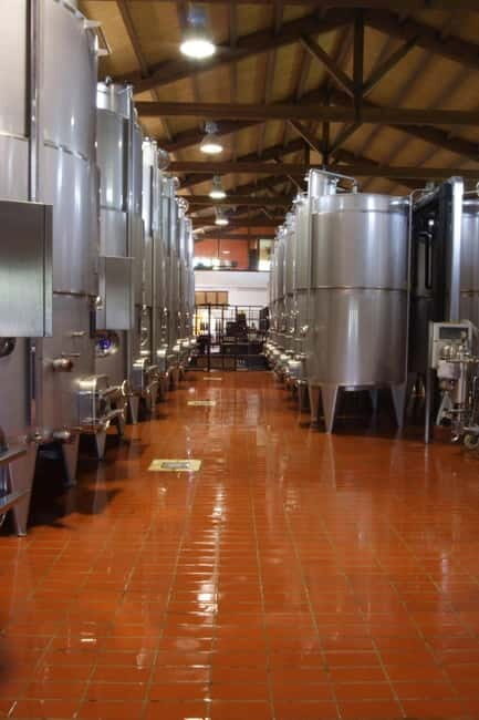 Antica Masseria Venditti: guided visit to the winery with wine tasting - The Practical Side