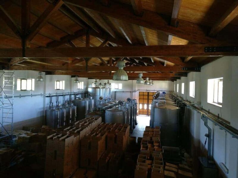 Antica Masseria Venditti: guided visit to the winery with wine tasting - Final Thoughts