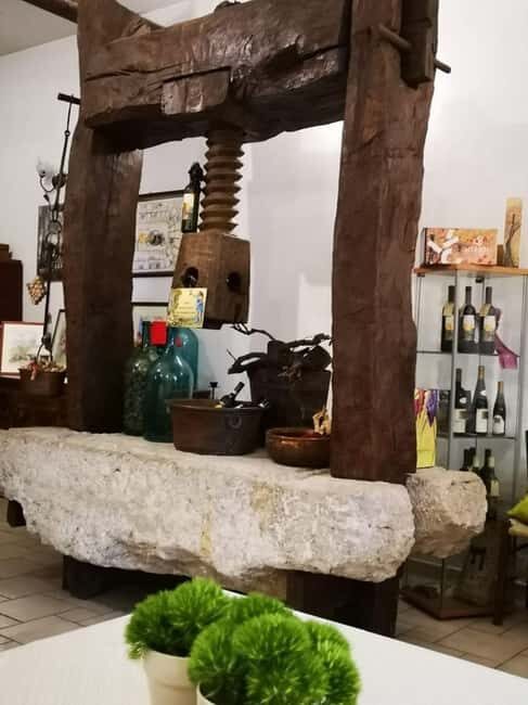 Antica Masseria Venditti: guided visit to the winery with wine tasting - FAQ