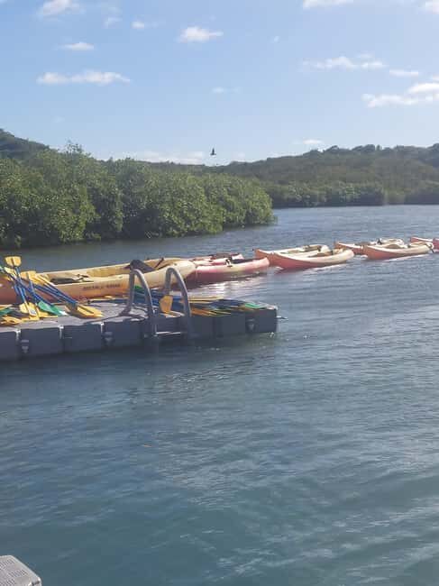 Antigua: Drink Till Your Drunk Rum Drinking & Discovery Tour - The Real Deal: Pros & Cons Based on Reviews