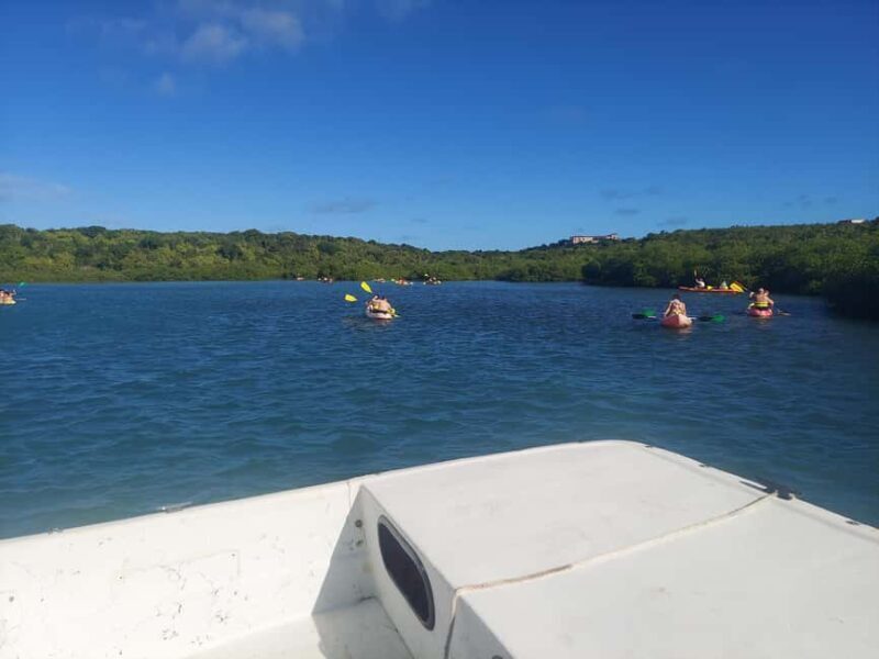 Antigua: Drink Till Your Drunk Rum Drinking & Discovery Tour - FAQ