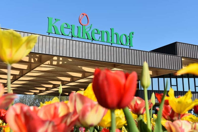 Antwerp: Full-day Holland Guided Keukenhof & Kinderdijk Tour - Who Is This Tour Best For?