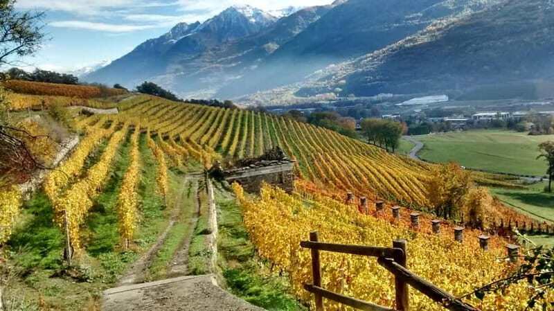 Aosta Valley: Visit and wine tasting at the Grosjean winery - Exploring the Grosjean Winery Experience