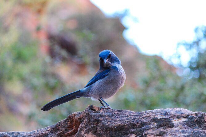 Apache Trail Private Half-Day Tour - FAQ