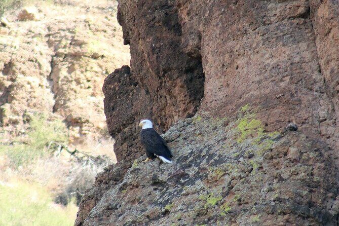 Apache Trail with Dolly Steamboat - FAQ