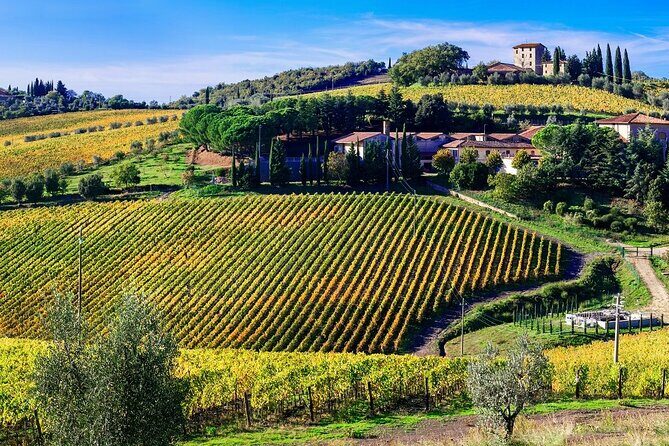 Ape Calessino Tour through Tuscan Landscapes - The Sum Up