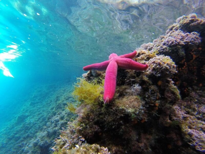 Aperitivo on the boat during sunset time in Palinuro - Exploring the Sunset Aperitivo on a Boat in Palinuro: A Practical Guide