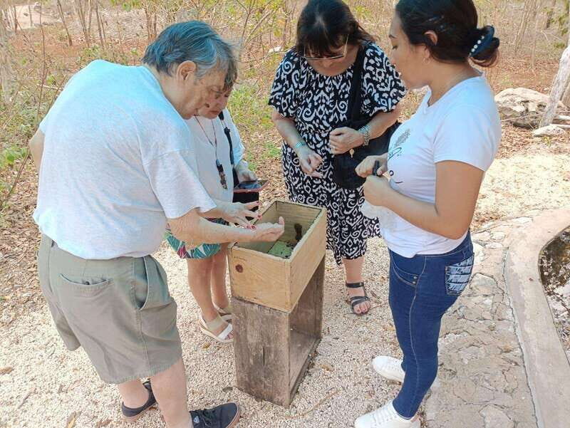 Apiary Tour (Bee tour) also Archeological site and salt Pond - Key Points