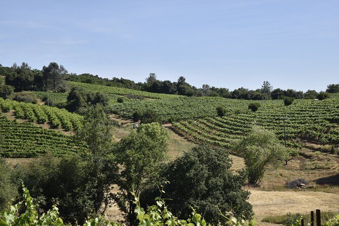 Apple Hill Wine Tasting Tours And Placerville wine tasting tours - Exploring the Experience