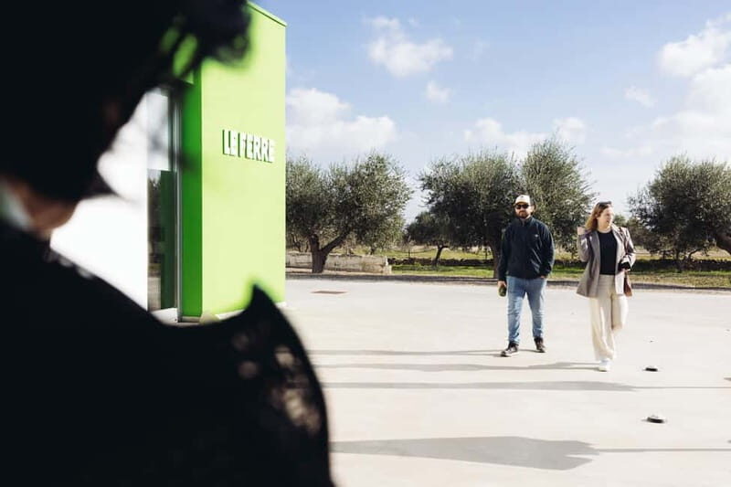 Apulia: oil tour, from field, to bottle, to food matching - Key Points