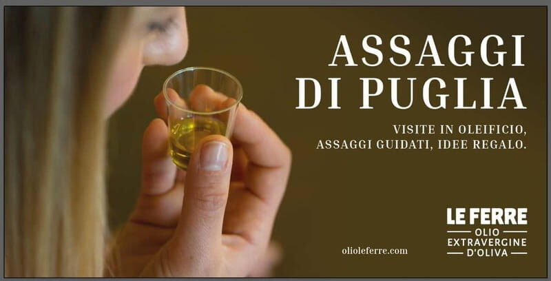 Apulia: oil tour, from field, to bottle, to food matching - Reviewing the Experience