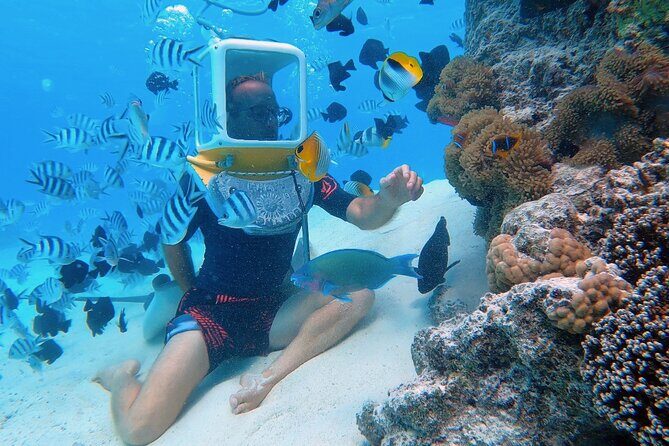 Aqua Safari Introductory Helmet Dive (Underwater Walk) - Key Points