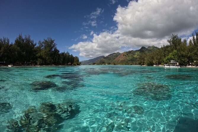 Aquablue Moorea - Who Will Love This Tour?
