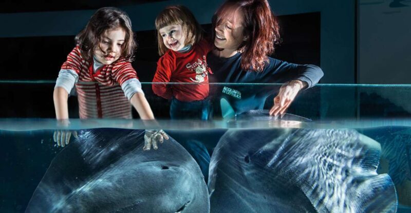 Aquarium of Cattolica Entry Ticket - Final Thoughts